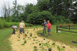 Land Conservancy